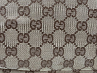 Gucci GG Canvas Shoulder Bag