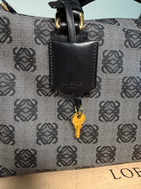 Loewe Amazona 36 Anagram Canvas Bag | Pre-owned | LUMË Vintage