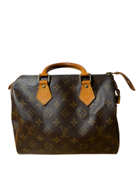 Louis Vuitton Speedy 25 Monogram