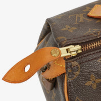 Louis Vuitton Speedy 25 Monogram